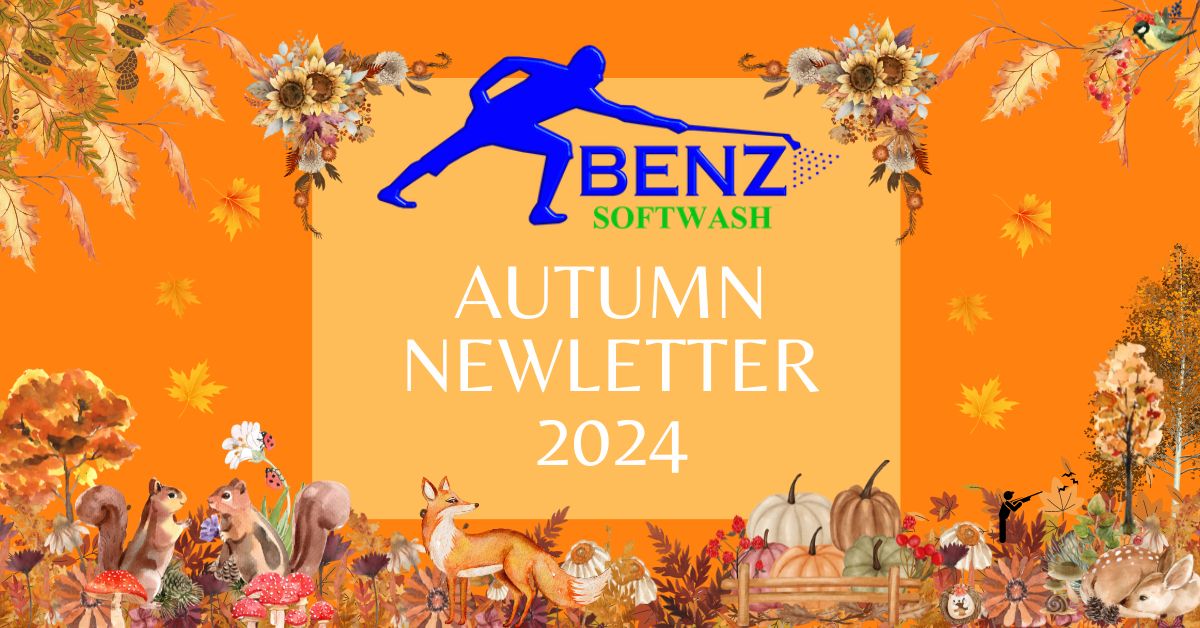 Autumn Newsletter 2024