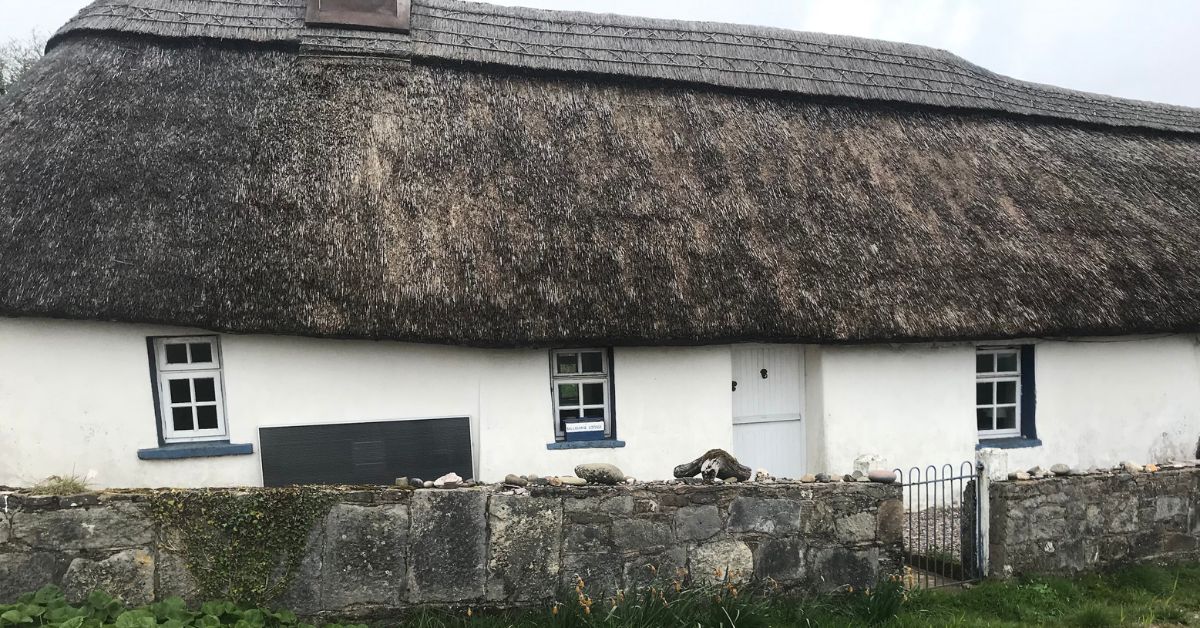 How to softwash thatched roofs