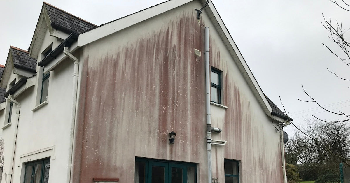 What are the best ways to soft wash red algae stain from render?